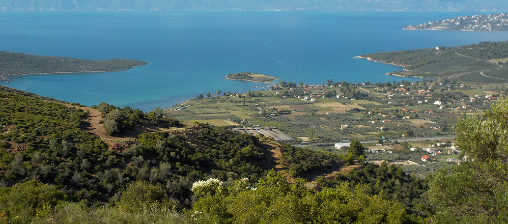 Mitrou from ATR monastery